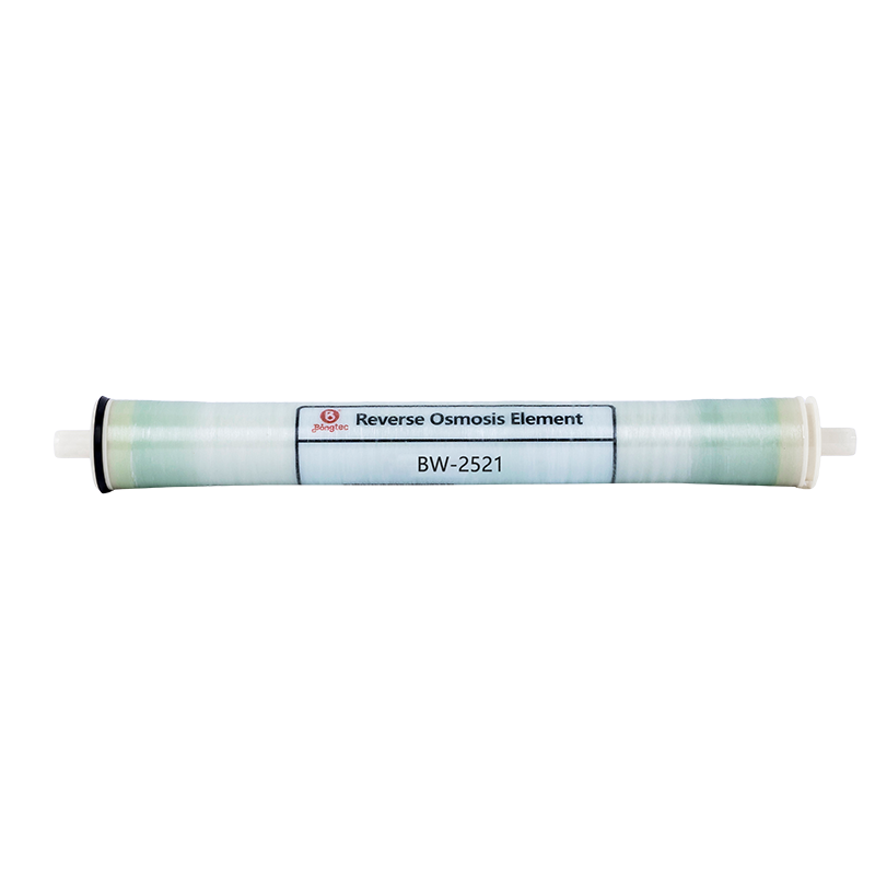 Eilimintí membrane RO Uisce Goirt BW-2521